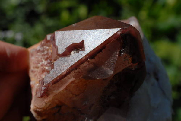 Natural Red Hematite Quartz Clusters Twin Double Terminated Floater & Red Phantom Cluster x 2 From Karoi, Zimbabwe - TopRock