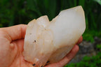 Natural Mixed Malagasy Quartz Crystals x 37 From Madagascar - TopRock