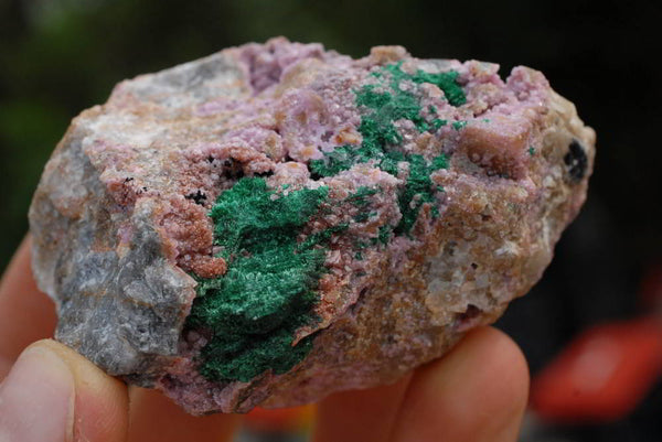 Natural Drusy Salrose Cobaltion Dolomite Specimens With Malachite Fibrous Crystals x 6 From Kakanda, Congo - TopRock