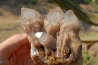 Natural Smokey Phantom Quartz Clusters x 2 From Lwena, Congo - TopRock