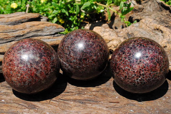 Polished Specular Gemmy Garnet Spheres x 3 From Madagascar - TopRock