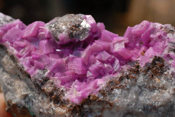 Natural Drusi Salrose Cobaltion Dolomite Specimens x 12 From Kakanda, Congo - TopRock