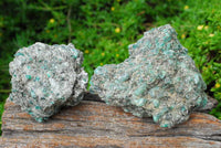 Natural Green Emeralds with Schist and Mica Matrix Specimens  x 3 From Zimbabwe - TopRock