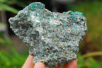 Natural Green Emeralds with Schist and Mica Matrix Specimens  x 3 From Zimbabwe - TopRock