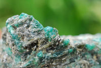 Natural Green Emeralds with Schist and Mica Matrix Specimens  x 3 From Zimbabwe - TopRock