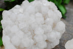 Natural Mixed Quartz Clusters x 24 From Madagascar - TopRock