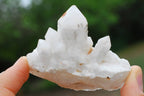 Natural Mixed Quartz Clusters x 24 From Madagascar - TopRock