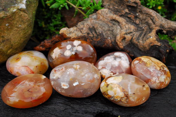 Polished Coral Flower Agate Gallets x 7 From Madagascar - TopRock