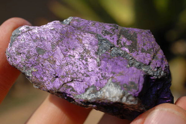 Natural Rare Purpurite Cobbed Pieces x 35 From Namibia - TopRock