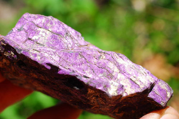 Natural Rare Purpurite Cobbed Specimens x 12 From Erongo, Namibia - TopRock