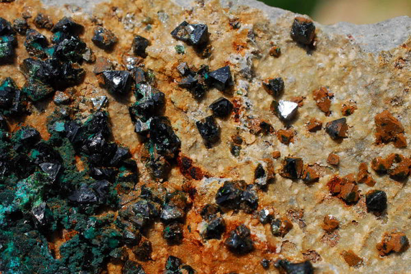 Natural Rare Copper Phosphate Libethenite On Dolomite Clusters x 7 From Shituru, Congo - TopRock