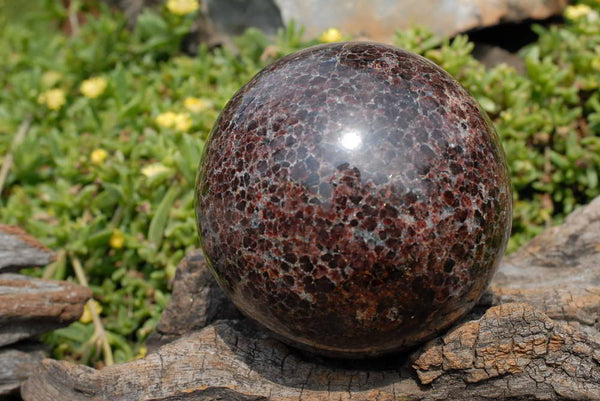 Polished Garnet Sphere x 1 From Madagascar - TopRock