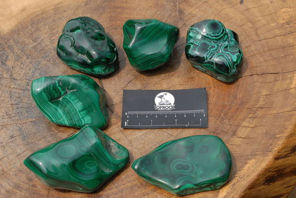 Polished Malachite Free Forms x 6 From Congo - TopRock