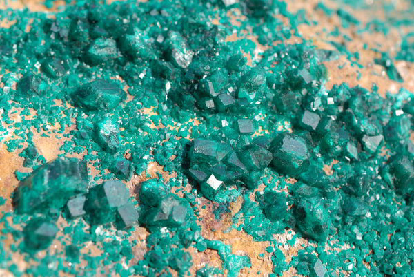 Natural Huge Dioptase Specimen Classic Emerald Green Crystals On Dolomite Matrix Museum Piece x 1 From Tantara Kambove, Congo - TopRock
