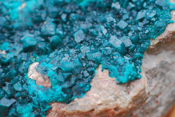 Natural Classic Extra Large Cabinet Sized Dioptase Specimen x 1 From Tantara, Congo - TopRock