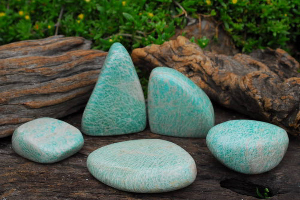 Polished Amazonite Standing Free Forms x 6 From Zimbabwe - TopRock