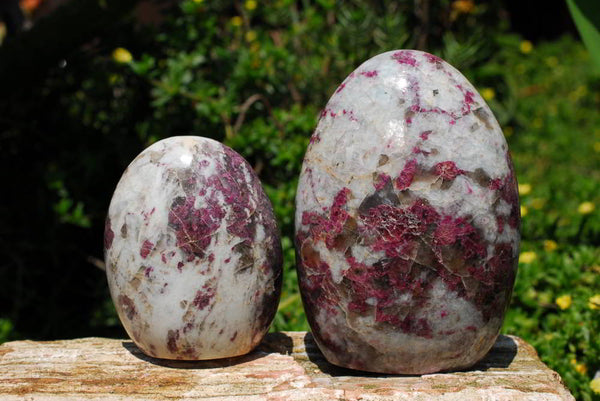 Polished Rubellite Pink Tourmaline In Matrix Standing Free Forms x 2 From Ambatondrazaka, Madagascar - TopRock