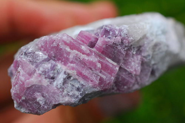Natural Pink Rubellite Tourmaline Crystals In Schist x 5 From Karibib, Namibia - TopRock