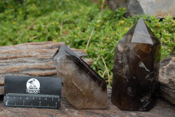 Polished Smokey Quartz Crystal Points x 1 Sceptre & Phantom x 2 From Madagascar - TopRock