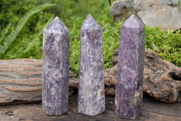 Polished Lepidolite Crystal Points (one with Rubellite) x 3 From Madagascar - TopRock