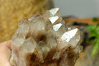 Natural Smokey Quartz Clusters With Phantoms x 2 From Lwena, Congo - TopRock