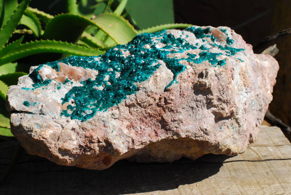 Natural Huge Giant Museum Quality Emerald Green Dioptase