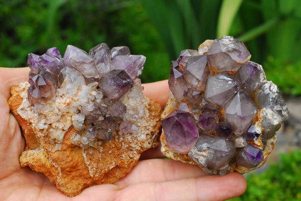 Natural Amethyst Crystal Specimens x 5 From Chiredzi, Zimbabwe - TopRock