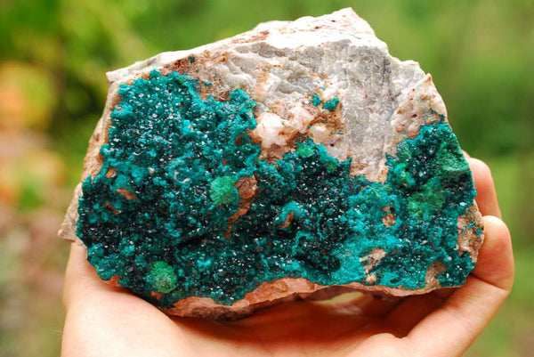 Natural Classic Extra Large Dioptase Cabinet Specimen With Mica x 1 From Tantara, Congo - TopRock