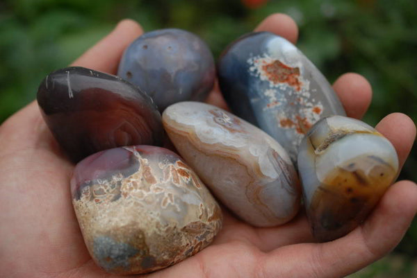 Polished Agate Gallet Free Forms x 12 From Sashe River, Zimbabwe - TopRock