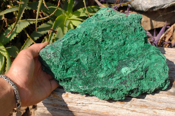 Natural Extra Large Silky Malachite Rough Specimen x 1 From Kasompe, Congo - TopRock
