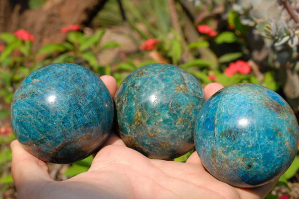 Polished Blue Apatite Spheres x 3 From Madagascar - TopRock