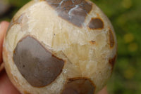 Polished Septerye (Calcite & Aragonite) Spheres x 7 From Madagascar - TopRock