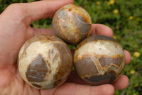 Polished Septerye (Calcite & Aragonite) Spheres x 7 From Madagascar - TopRock