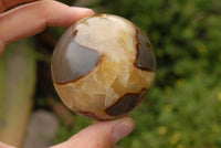 Polished Septerye (Calcite & Aragonite) Spheres x 7 From Madagascar - TopRock
