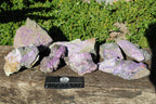 Natural Rare Stichtite & Green Serpentine Specimens x 8 From Barberton, South Africa - TopRock