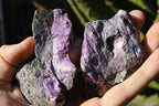 Natural Rare Stichtite & Green Serpentine Specimens x 8 From Barberton, South Africa - TopRock