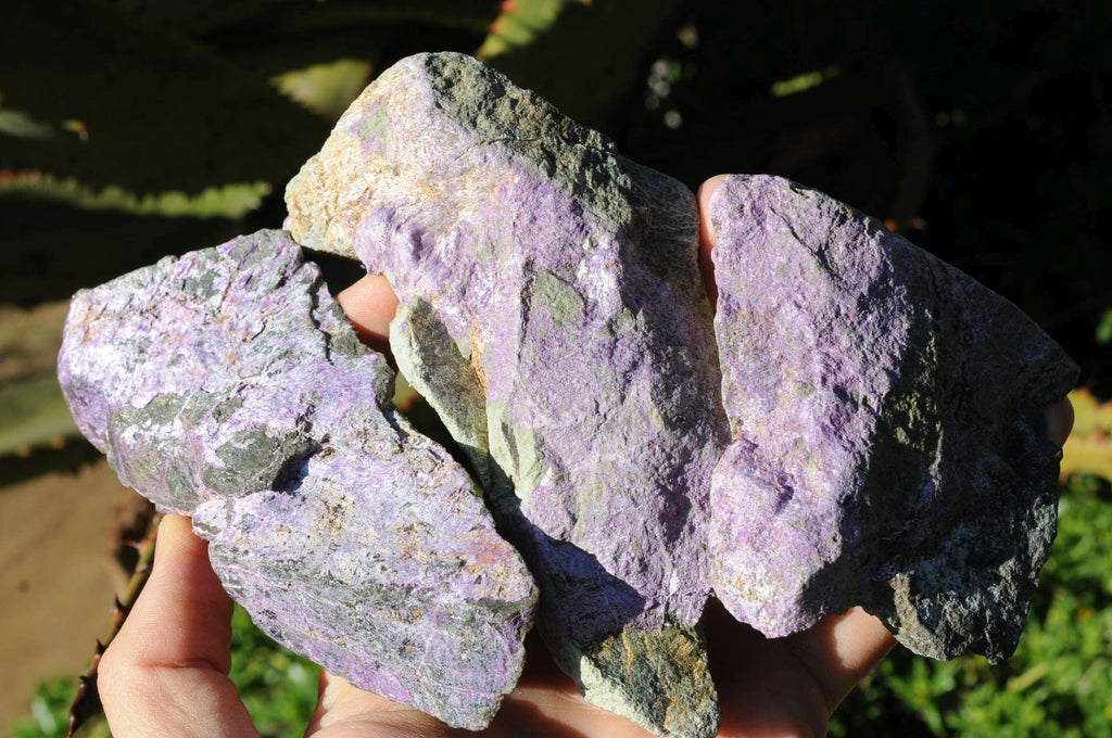 Natural Rare Stichtite & Green Serpentine Specimens x 8 From Barberton, South Africa - TopRock