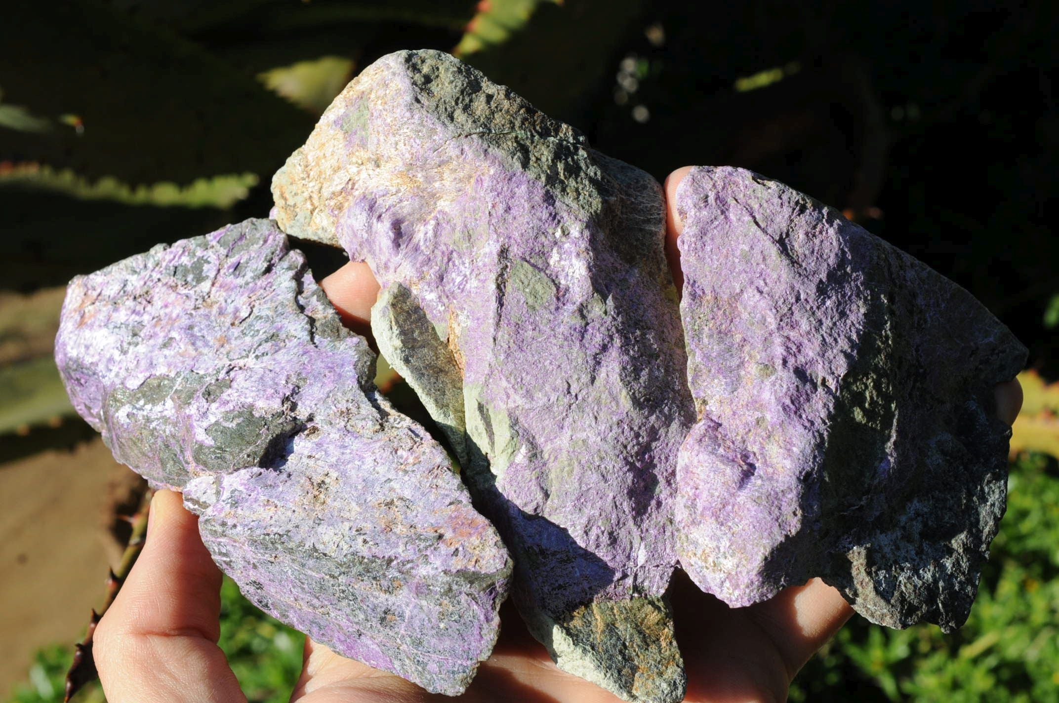 Natural Rare Stichtite & Green Serpentine Specimens x 8 From Barberton, South Africa - TopRock