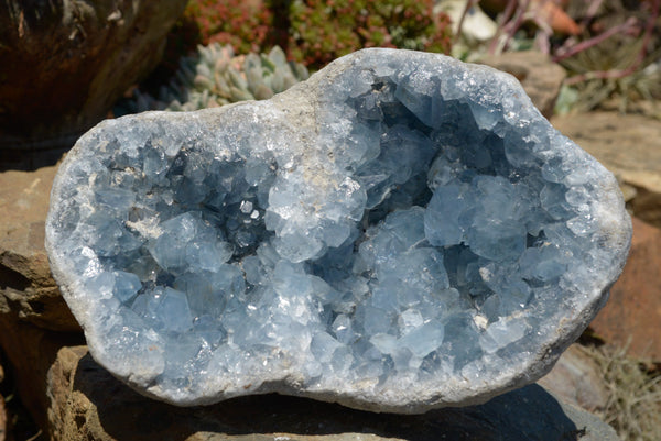 Natural Blue Celestite Geode Display Specimen  x 1 From Sakoany, Madagascar - TopRock