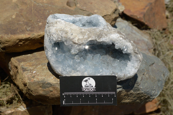 Natural Pale Blue Celestite Geode Specimen  x 1 From Sakoany, Madagascar - TopRock