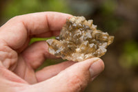 Natural Small Golden Limonite / Lemonite Quartz Clusters  x 35 From Solwezi, Zambia - TopRock