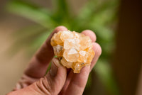Natural Small Golden Limonite / Lemonite Quartz Clusters  x 35 From Solwezi, Zambia - TopRock