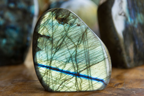 Polished Labradorite Standing Free Forms With Intense Blue & Gold Flash x 6 From Sakoany, Madagascar - TopRock