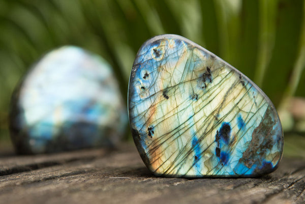 Polished Labradorite Standing Free Forms With Intense Blue & Gold Flash x 6 From Sakoany, Madagascar - TopRock