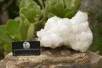 Natural Large White Pineapple Candle Quartz Cluster x 1 From Madagascar - TopRock