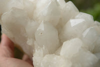 Natural Large White Pineapple Candle Quartz Cluster x 1 From Madagascar - TopRock