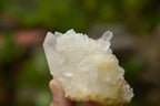 Natural Mixed Quartz Clusters  x 12 From Madagascar - TopRock