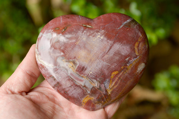 Polished Petrified Red Podocarpus Wood Hearts x 3 From Madagascar - TopRock