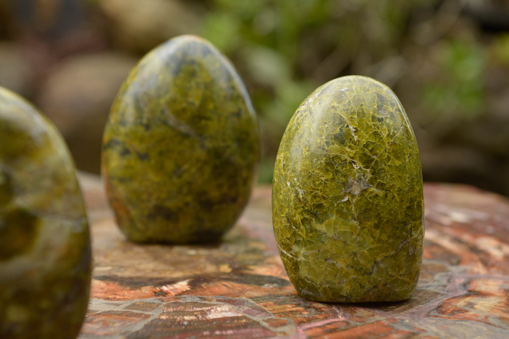 Polished Green Opal Standing Free Forms  x 5 From Madagascar - TopRock