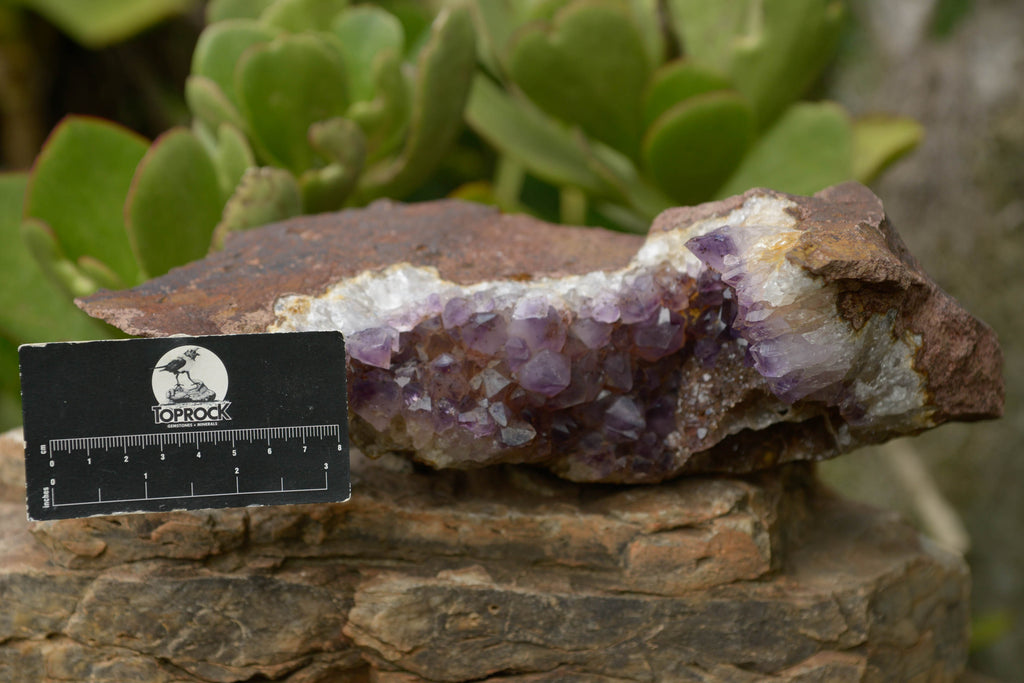 Natural Amethyst In Basalt Geode Specimen  x 1 From Zululand, South Africa - TopRock